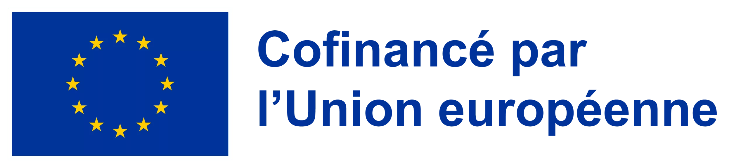 Logo Euro
